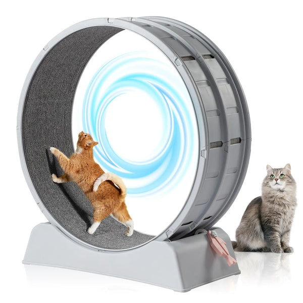 Cat Exercise Wheel, 31-Inch Treadmill for cats