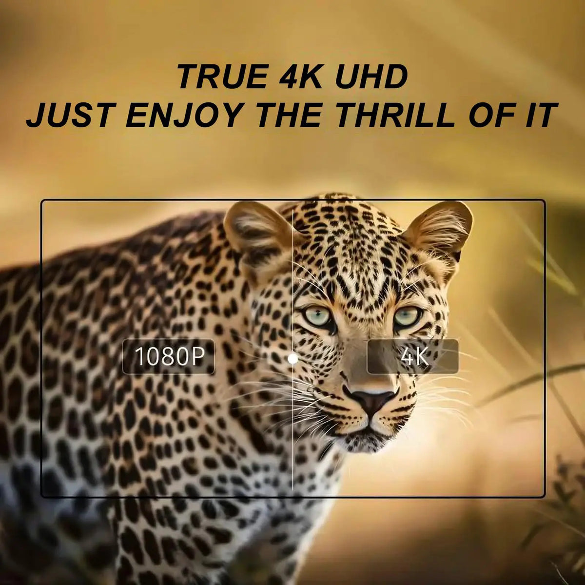 Shadow X™ Pro 4K Tactical Night Vision Goggles