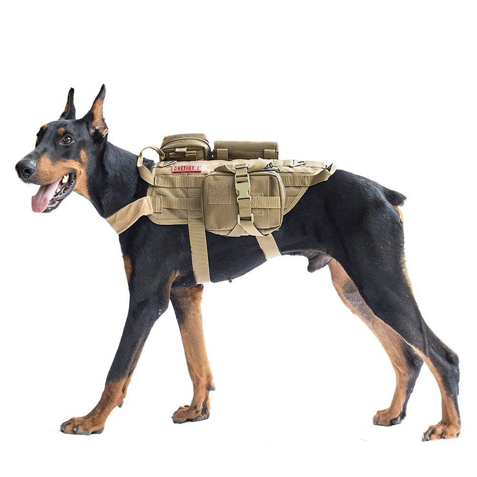 Tactical Harness