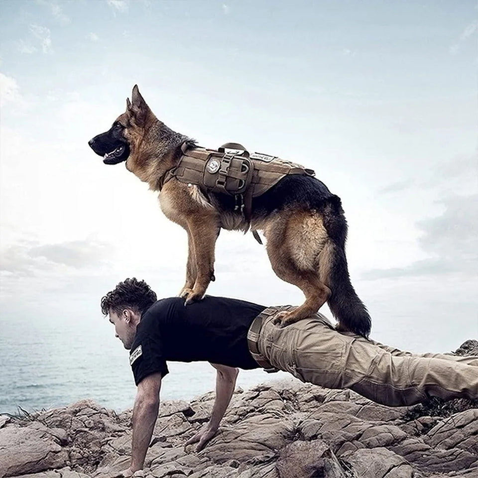 Tactical Harness