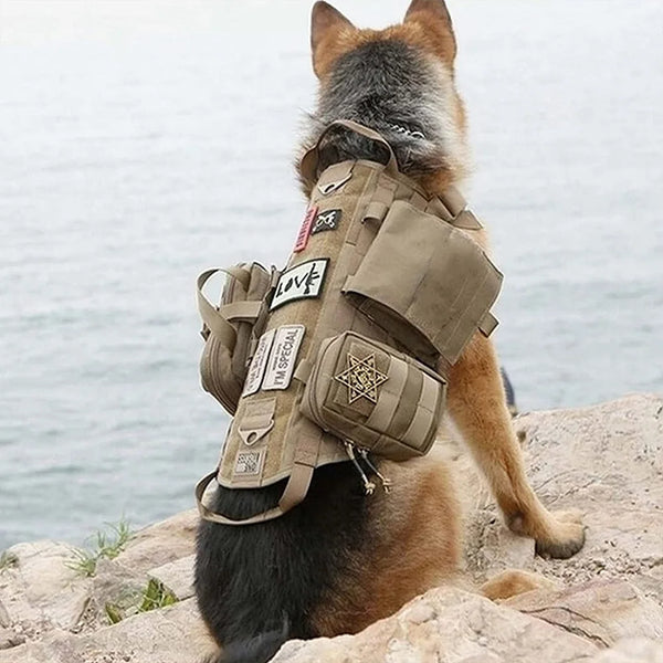 Tactical Harness