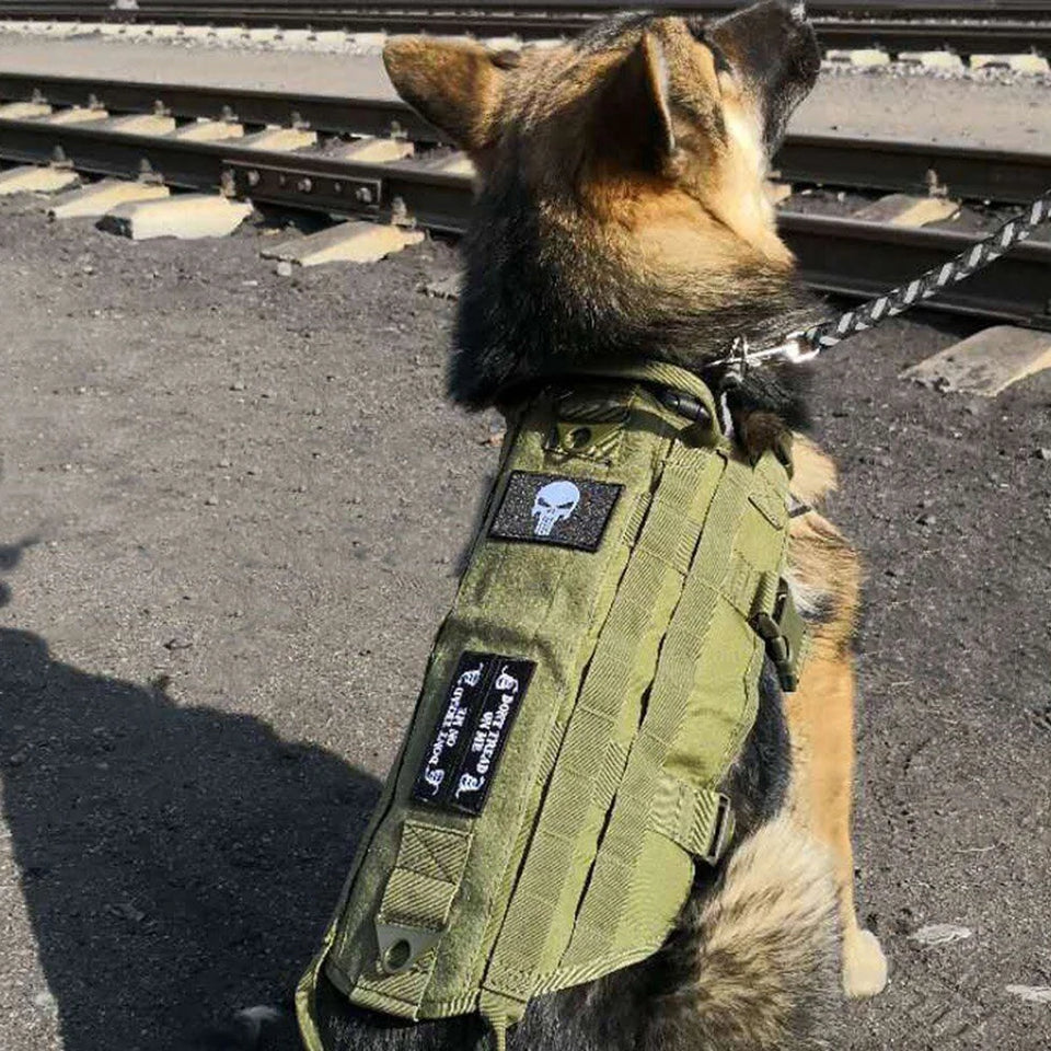 Tactical Harness