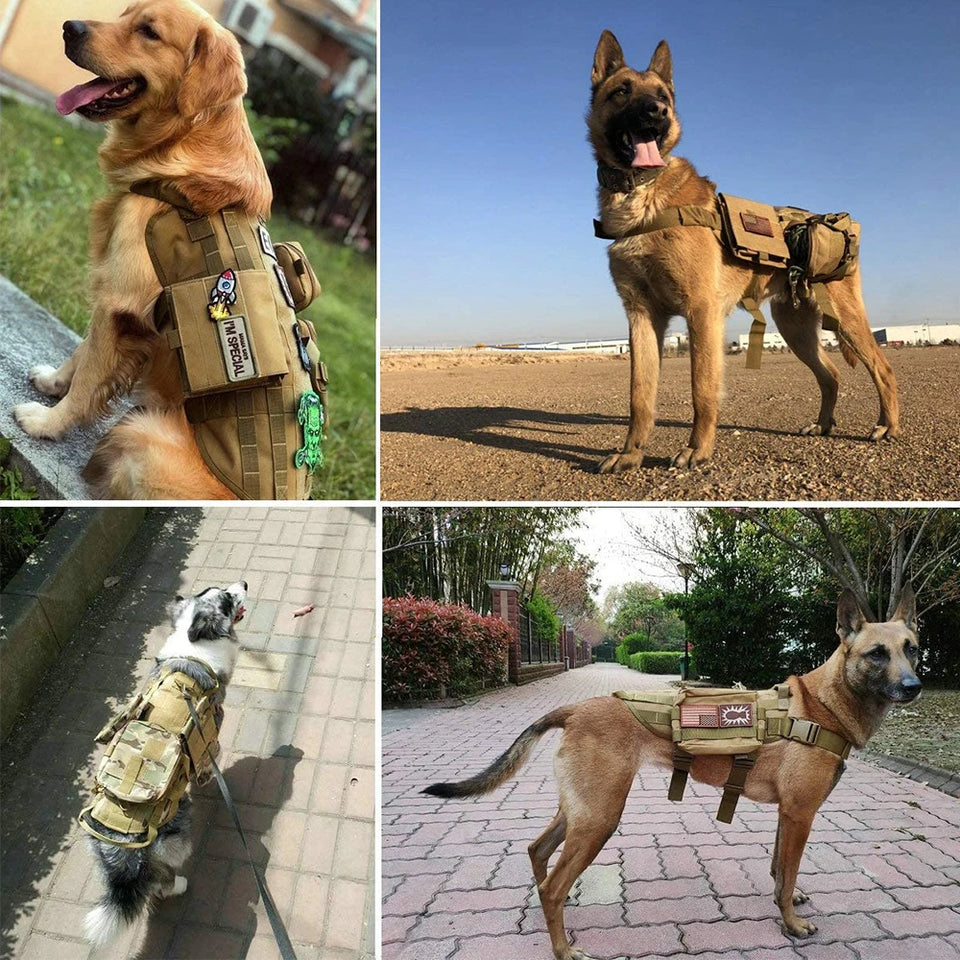 Tactical Harness