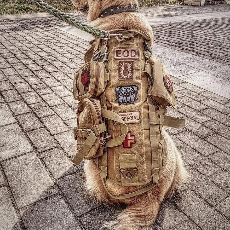Tactical Harness
